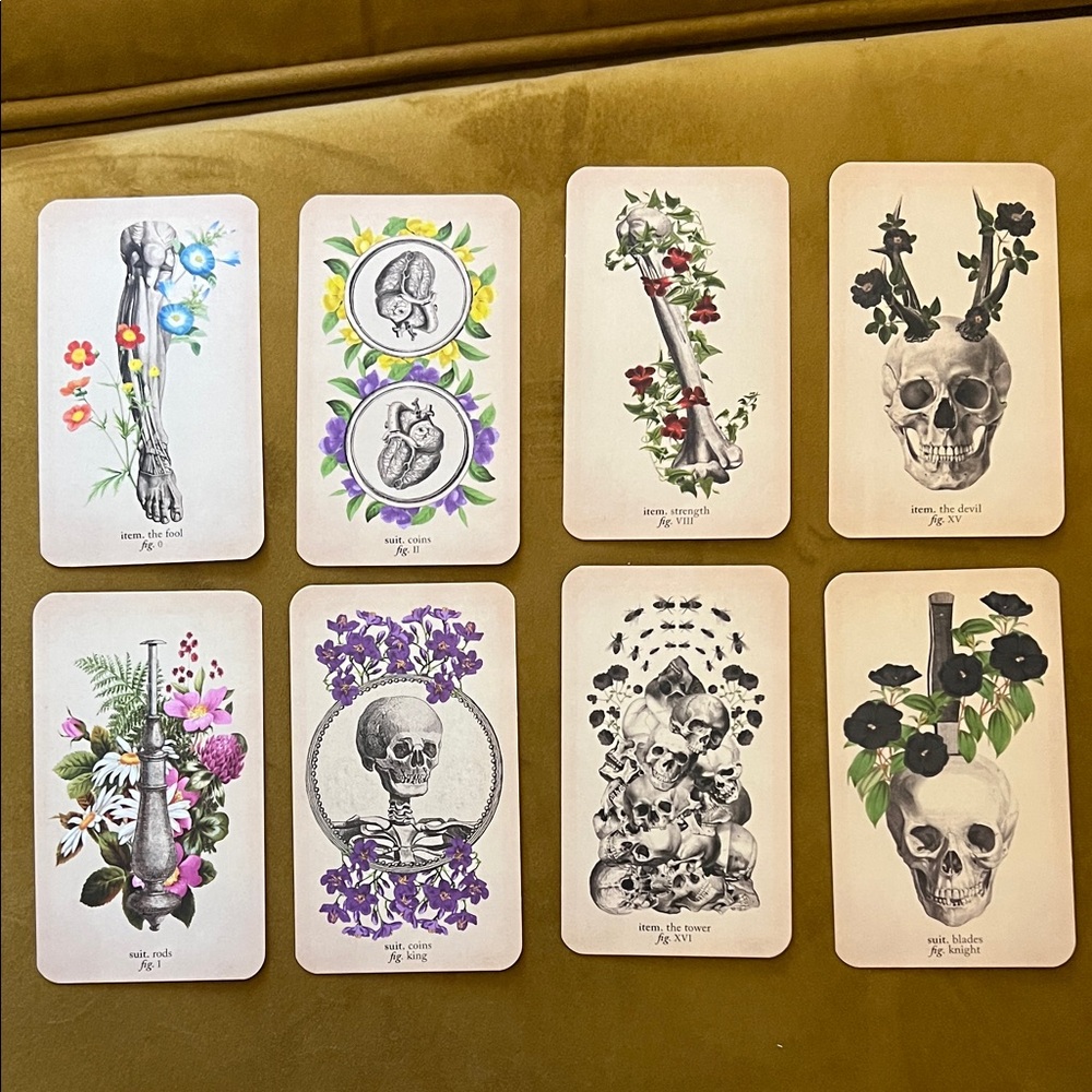 The Antique Anatomy Tarot Deck